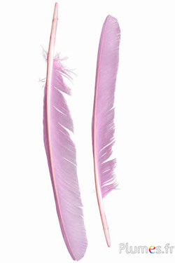 Zwaan - 35-40 cm - roze
